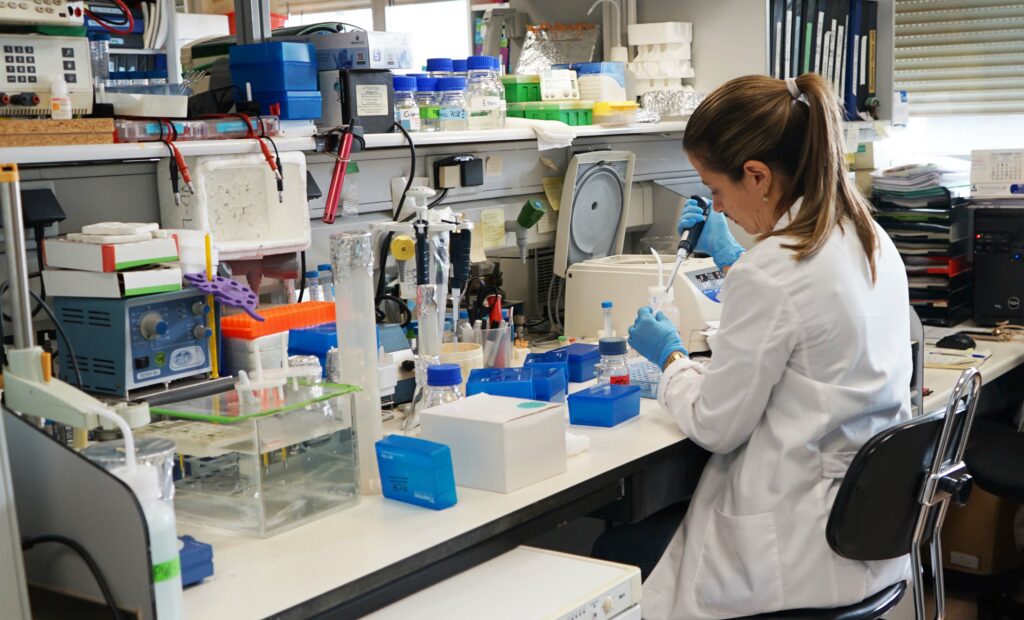 Imagen general de investigación